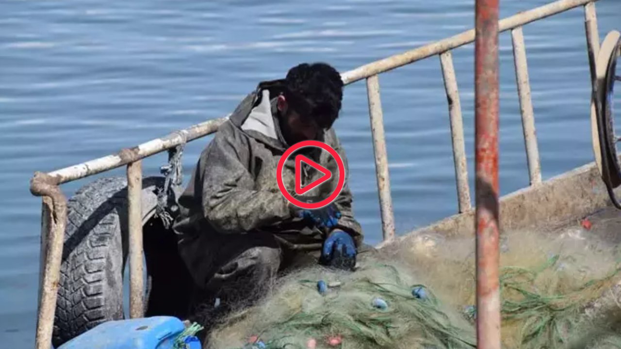 Sadece Van Gölü'nde yaşıyorlar: İnci kefali için üç aylık av yasağı başladı