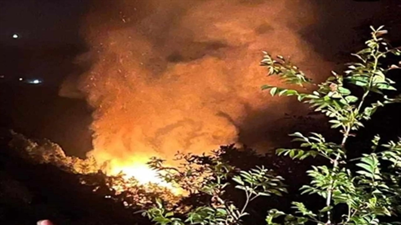 Yalova'da orman yangını çıktı: İki kişi gözaltında