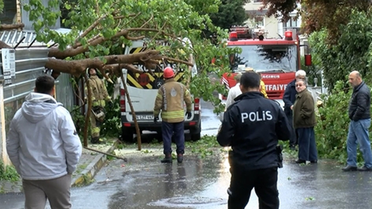 Maltepe’de fırtına nedeniyle ağaç park halindeki araçların üzerine devrildi