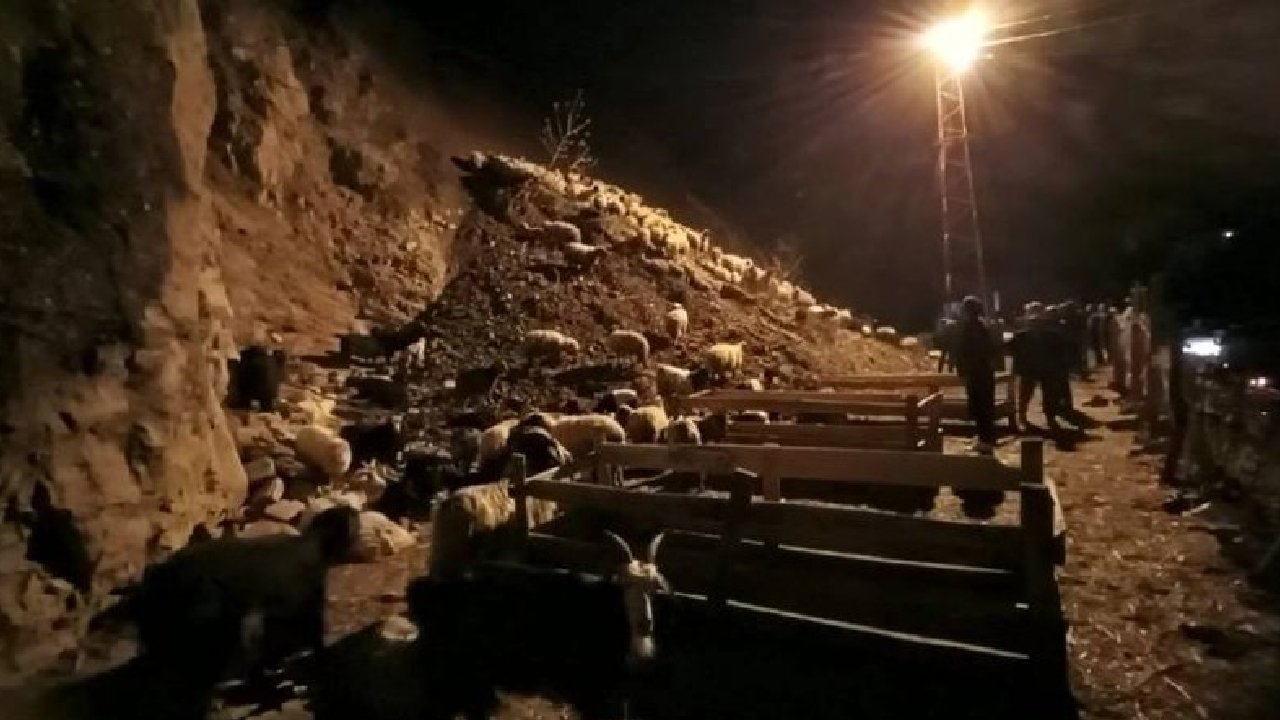 Hakkari'de heyelan: Koyunlar toprak altında kaldı