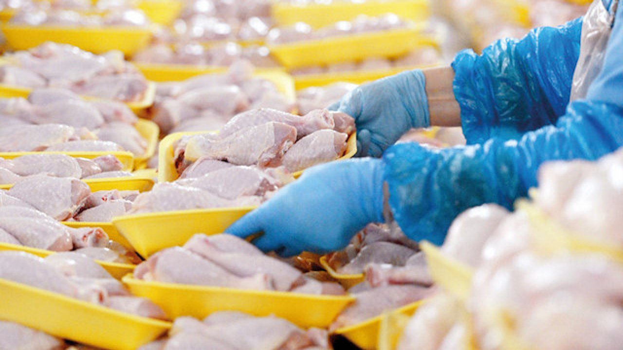 Tavuk fiyatları kontrolden çıktı, ihracata kısıtlama getirildi
