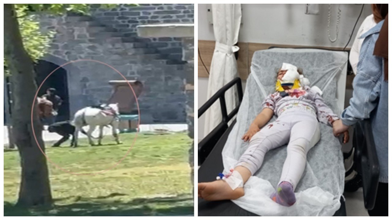Diyarbakır’da piknik yapanların arasına at daldı: Biri çocuk, iki yaralı