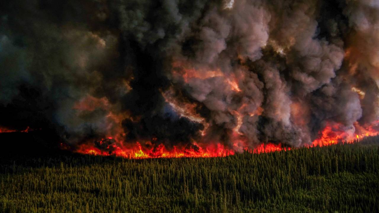 İzmir'de son 10 yılda 13 bin 547 hektar ormanlık alan yandı