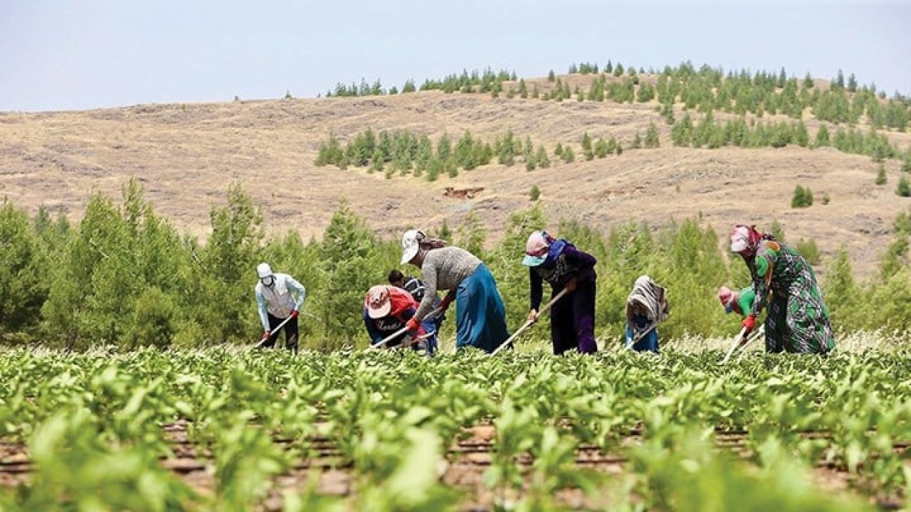 Çiftçilere 72,5 milyon liralık destek ödemesi yapılacak