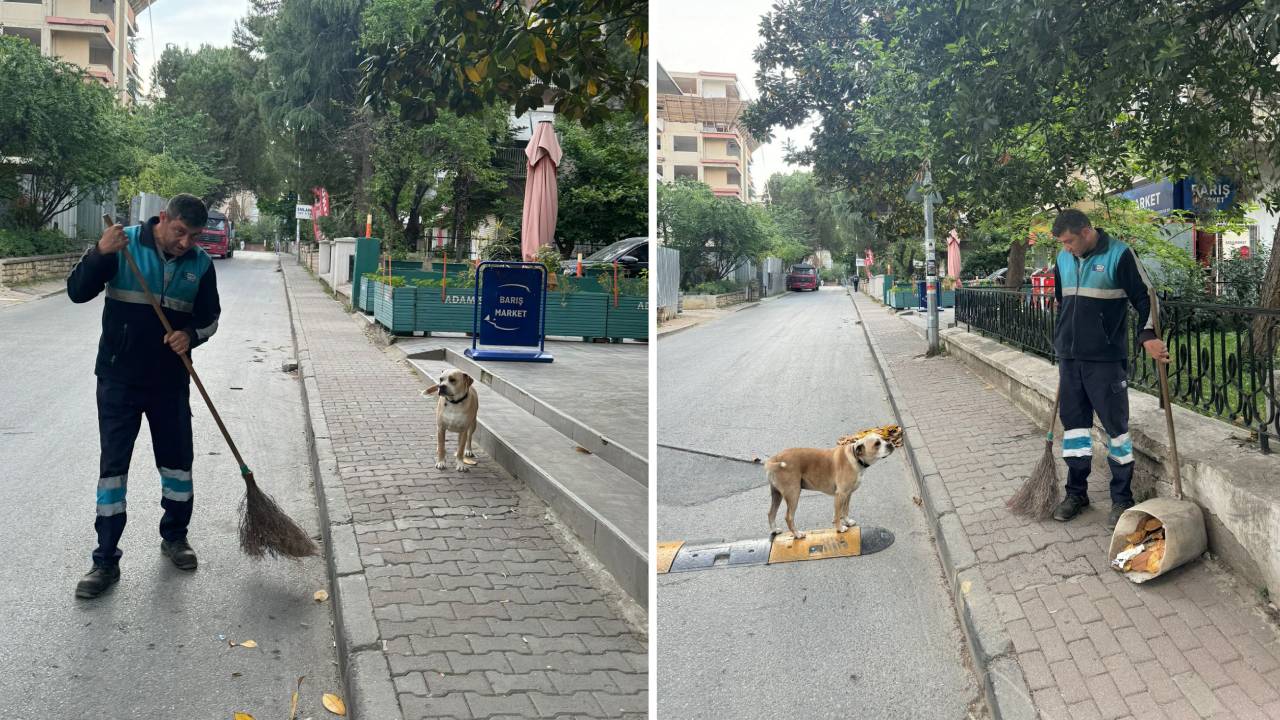 Temizlik işçisinin parkta bulduğu köpek, yanından ayrılmıyor: 'O benim can yoldaşım'