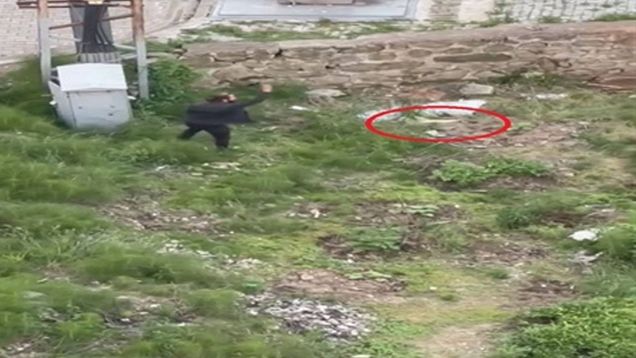 Trabzon’da tekmelediği kediyi ezerek öldürüp, fırlattı