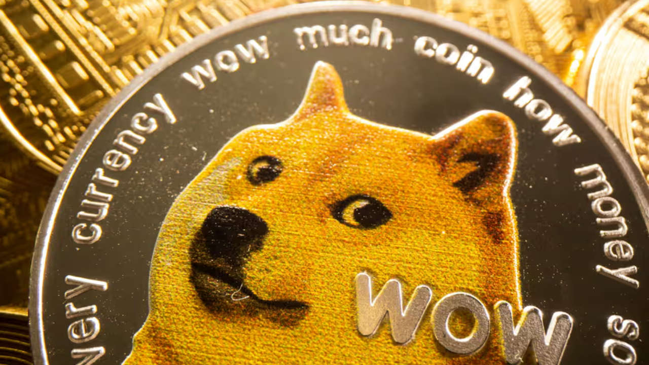 Barınaktan kurtarılmasaydı 2010'da 'uyutulacaktı': Dogecoin'in simgesi Kabosu 18 yaşında öldü