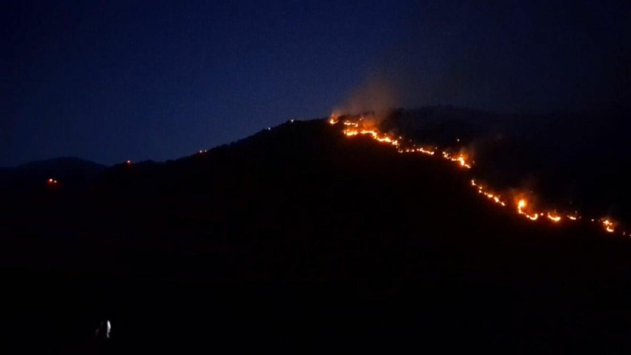 Manisa'da tarım alanında çıkan yangın ormana sıçradı