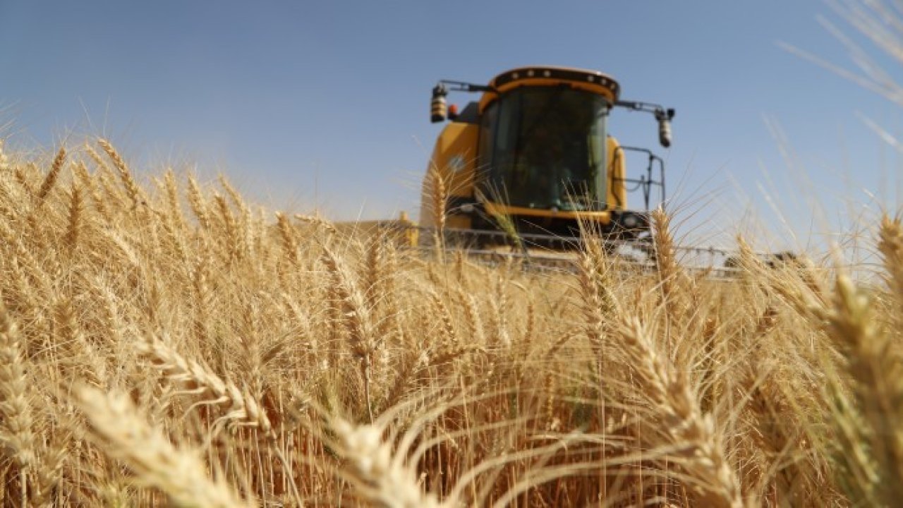TMO buğday alım fiyatlarını açıkladı, çiftçi tepki gösterdi