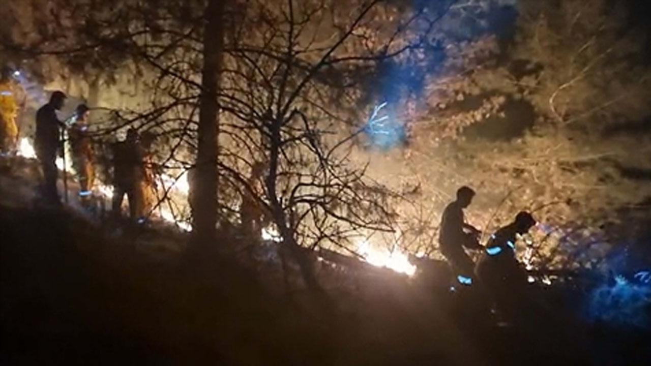 Aydın’da orman yangını: Altı saatte söndürüldü, 26 hektar alan zarar gördü