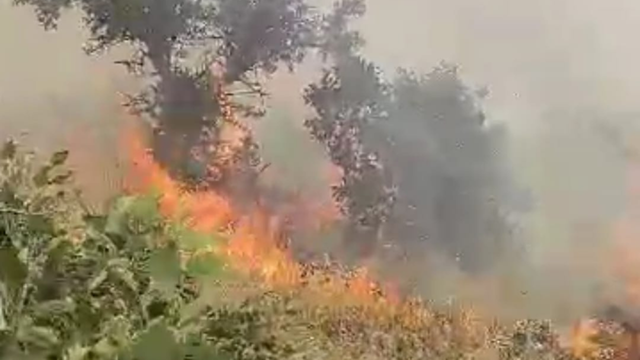Bagok Dağı’nda çıkan yangın 4 saatte söndürüldü
