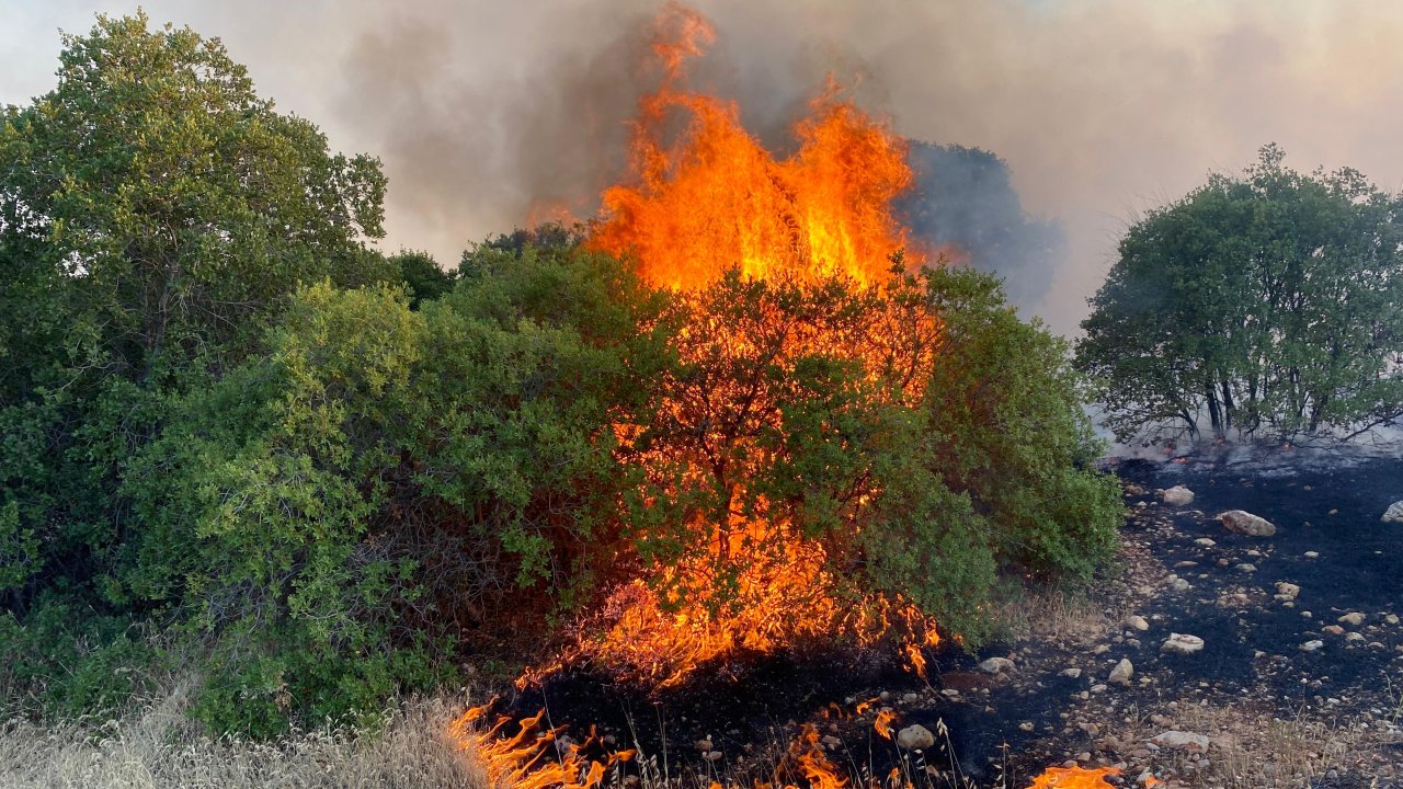 Antep'te fıstık ve zeytin bahçelerinde yangın: Bir kişi gözaltına alındı