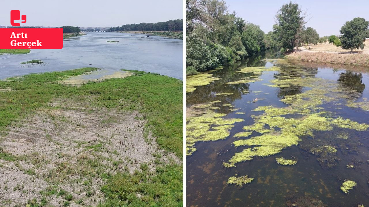 Trakya nehirleri alarm veriyor: Dev adacıklar oluştu, yüzey yosun bağladı