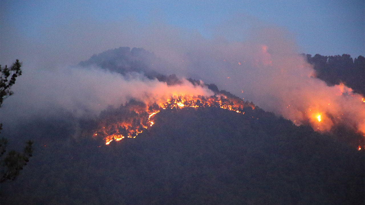Denizli'deki orman yangınları kontrol altına alındı