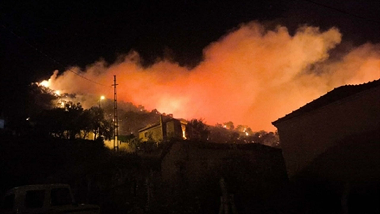 İzmir'de zeytinlik yangını söndürüldü: Orman işçisi dönüş yolunda kazada öldü