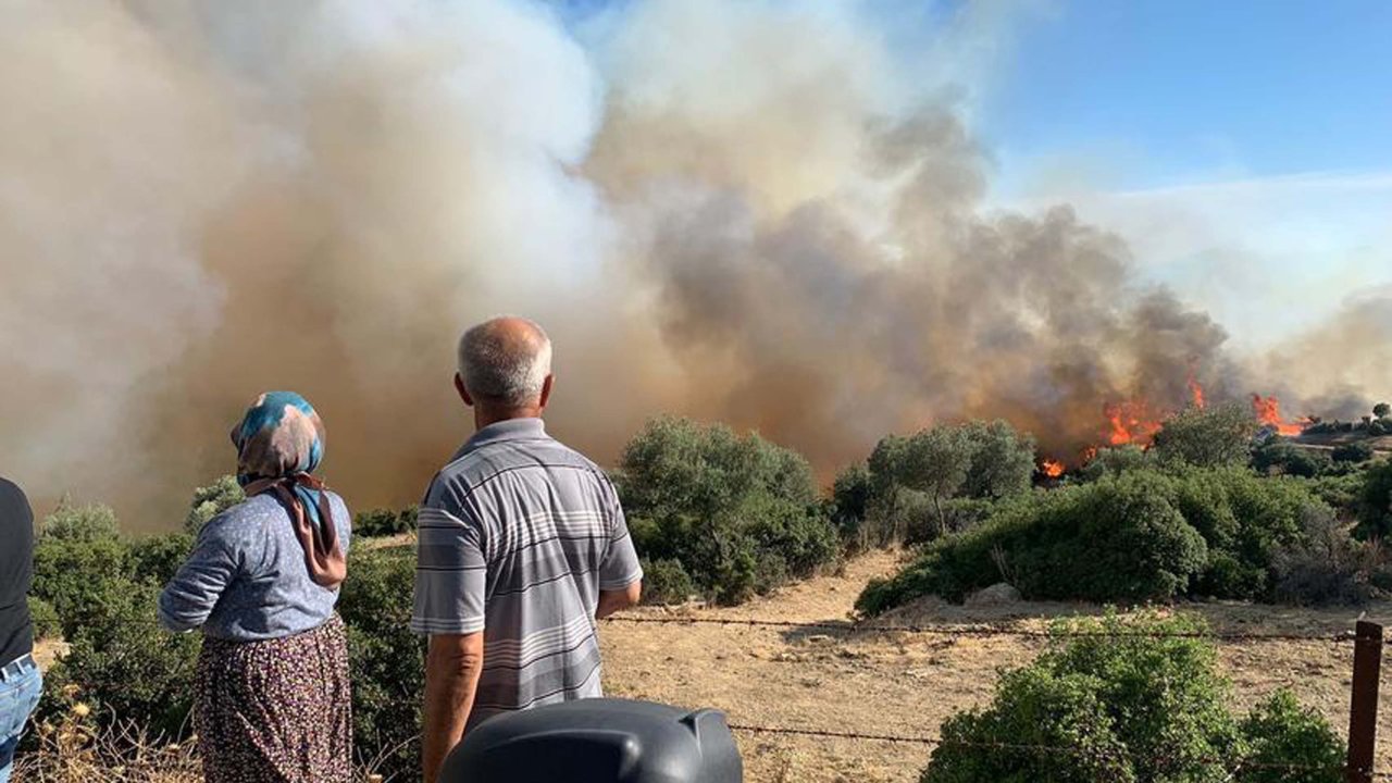 Aydın'da orman yangını: Rüzgarın etkisiyle kısa sürede yayıldı