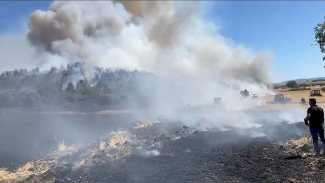 Balıkesir'de anız yangını ormana sıçradı: Müdahale ediliyor