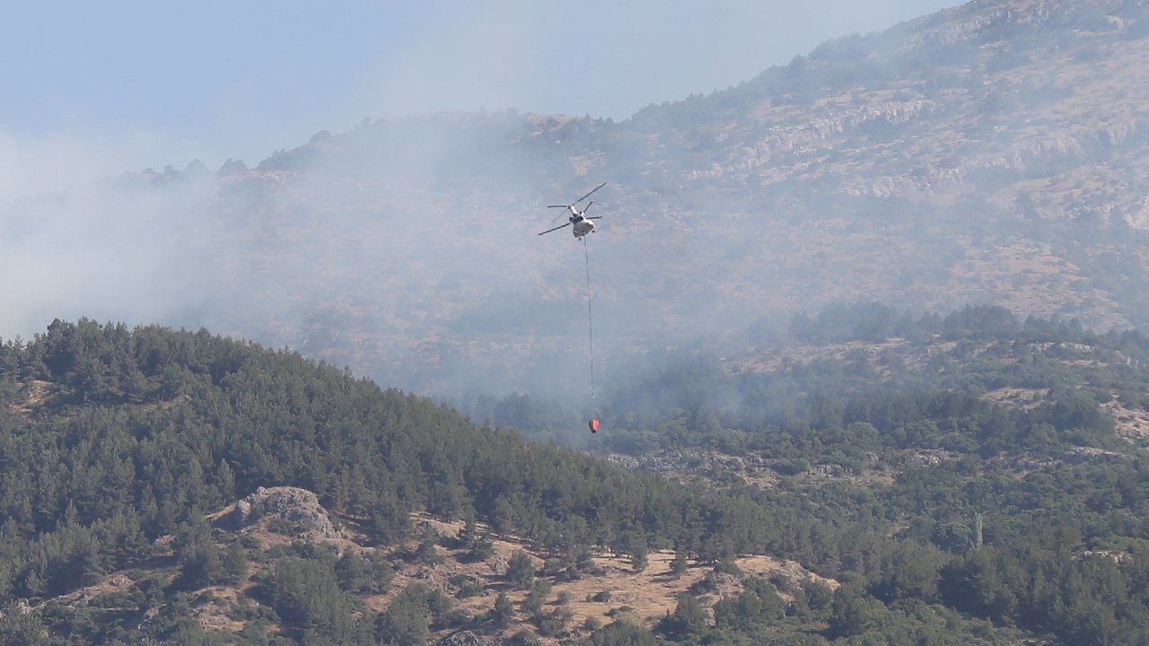 Manisa Spil Dağı'nda çıkan orman yangını kontrol altına alındı