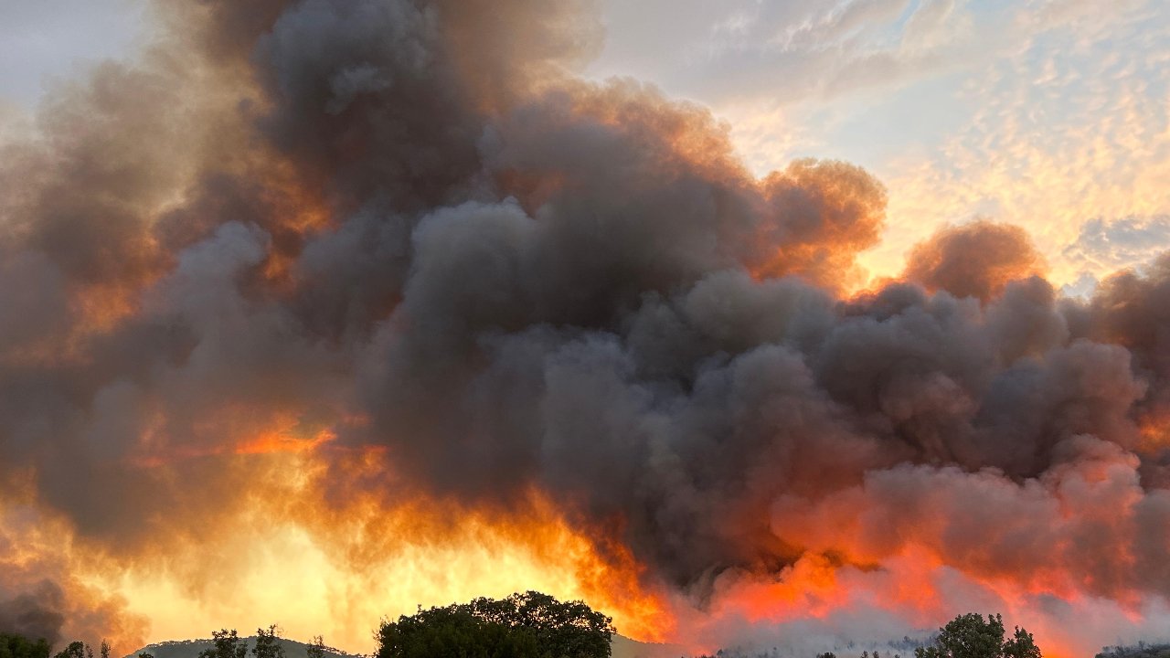 Uşak'ta çıkan orman yangını rüzgarın etkisiyle büyüdü: Müdahale sürüyor