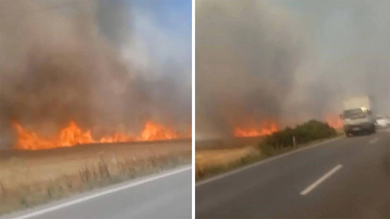 Tekirdağ'da 180 dönüm ekili buğday yandı: Üç işçi dumandan etkilendi