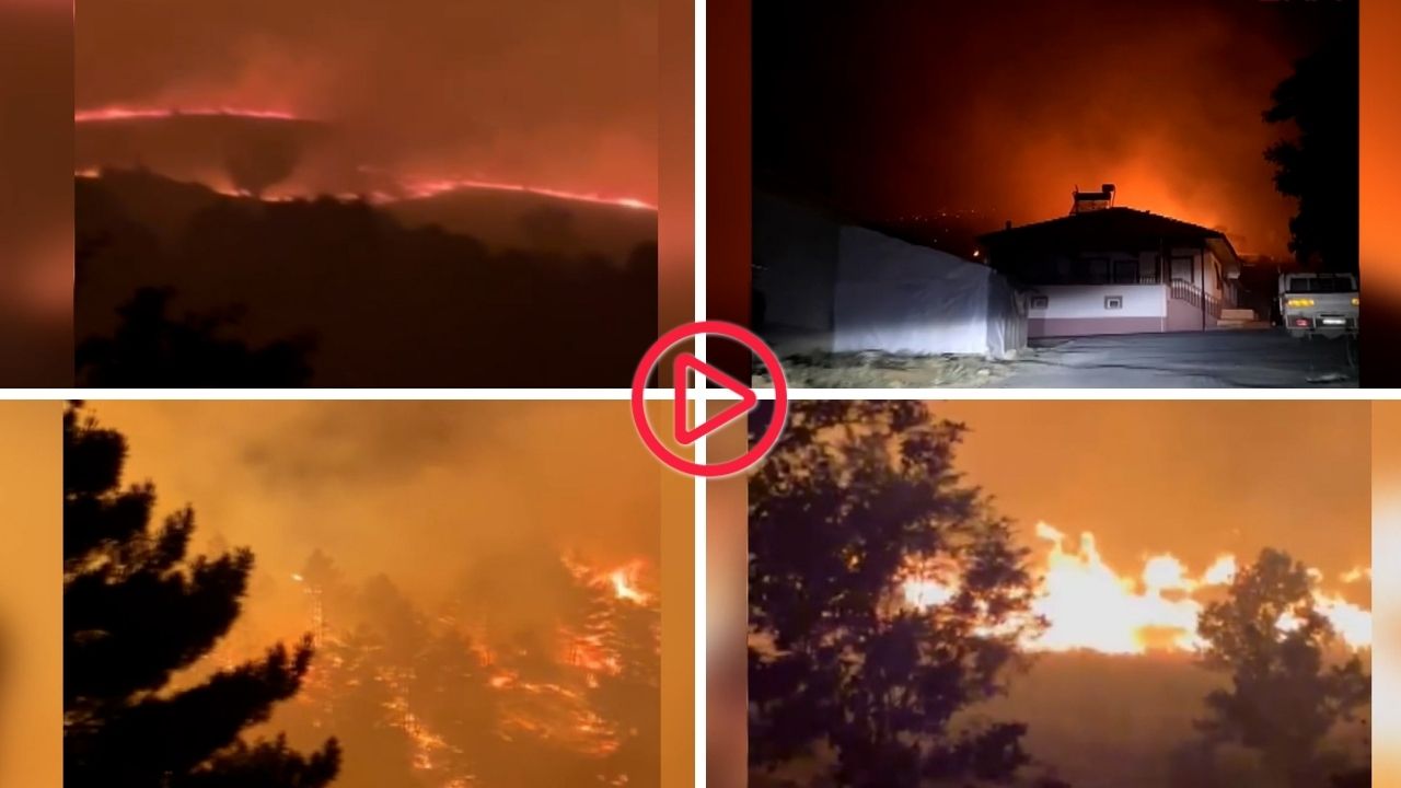 Malatya'da örtü yangını: 400 dönüm alan zarar gördü