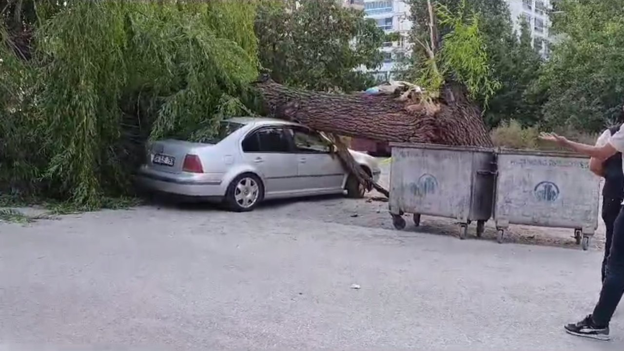 Ankara’da kuvvetli rüzgar: Ağaç devrildi, 4 araç hasar gördü