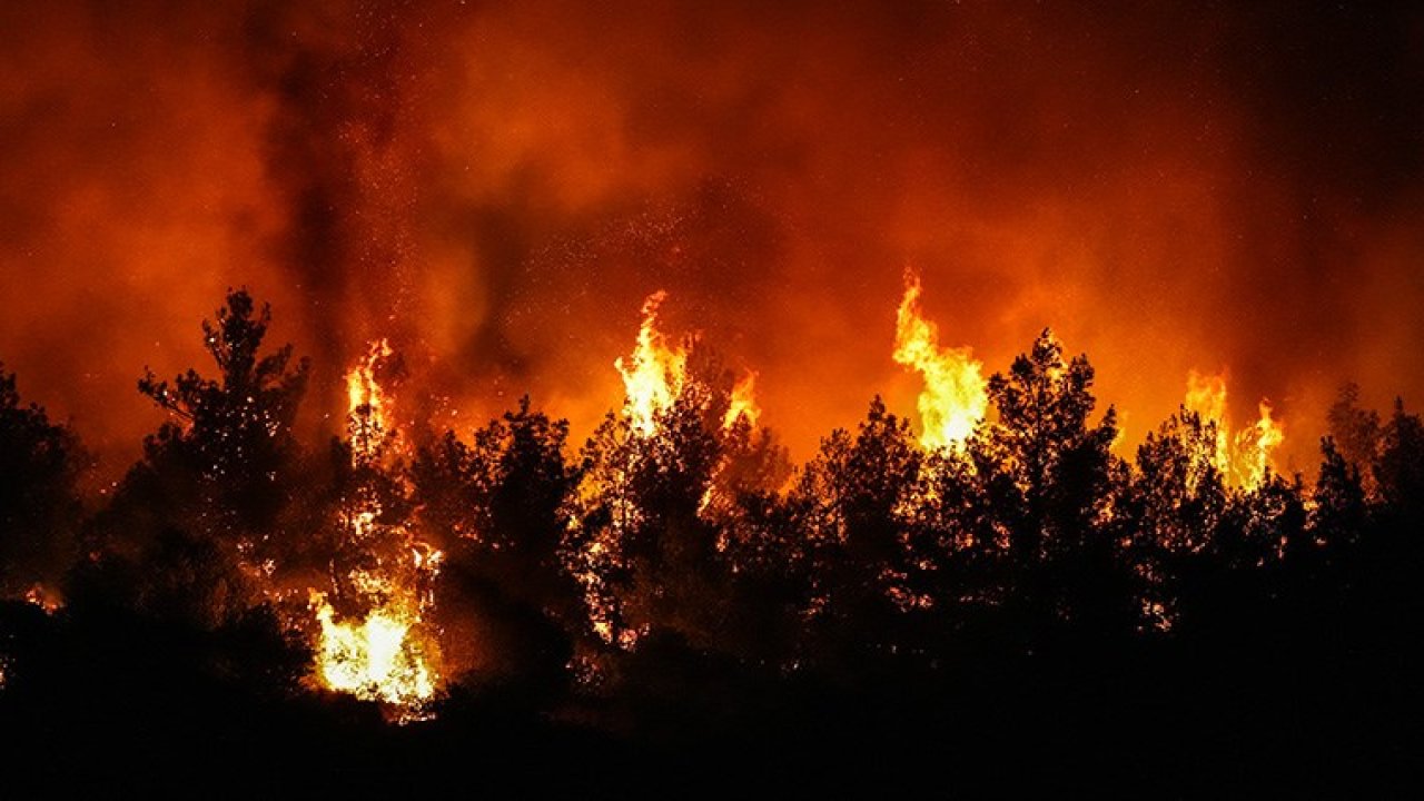 İzmir'de bir günde 18 yangın çıktı, 11'i söndürüldü