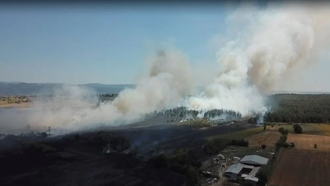 Bursa'da kampüsteki ormana sıçrayan yangın kontrol altına alındı