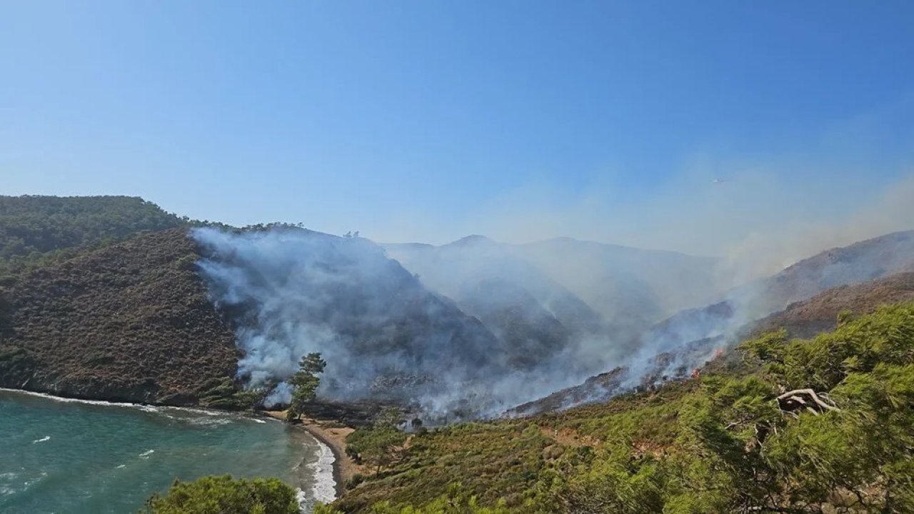 Marmaris'teki orman yangınıyla ilgili gözaltına alınan üç kişi adli kontrolle serbest
