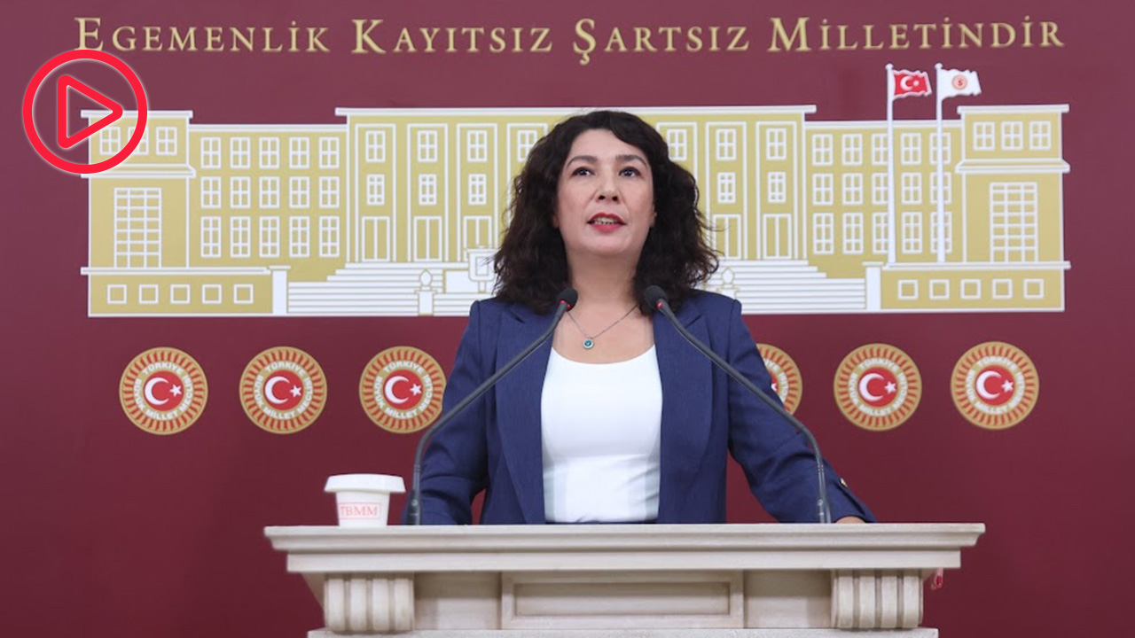 DEM Parti Kadın Meclisi Sözcüsü Türkoğlu: Uyarıyoruz, kadın kazanımlarından elinizi çekin