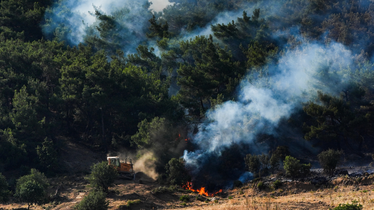 İzmir'de orman yangını: İki mahalle boşaltıldı