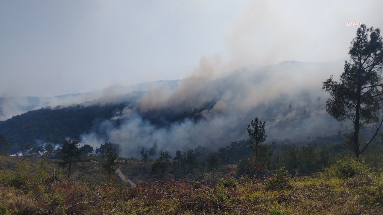 Bornova'da başlayan yangın Manisa’ya ilerliyor: Gökçeler Köyü tahliye edildi