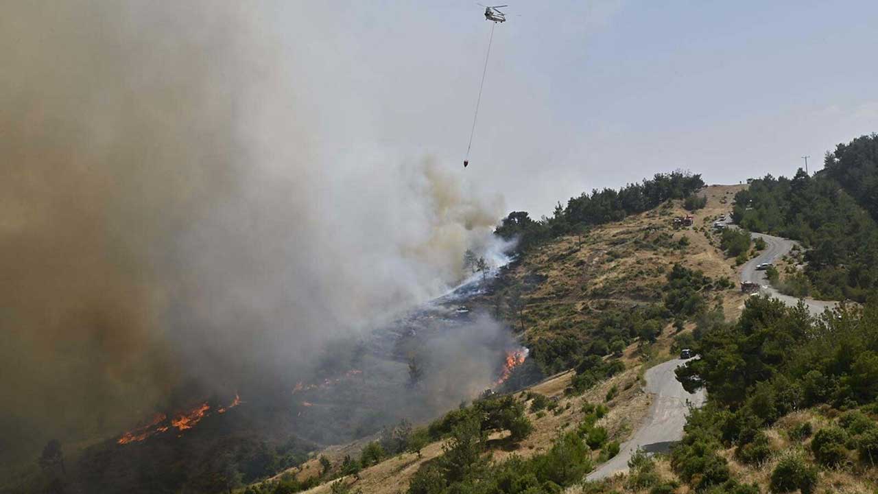 Bornova'daki orman yangını iki gündür devam ediyor