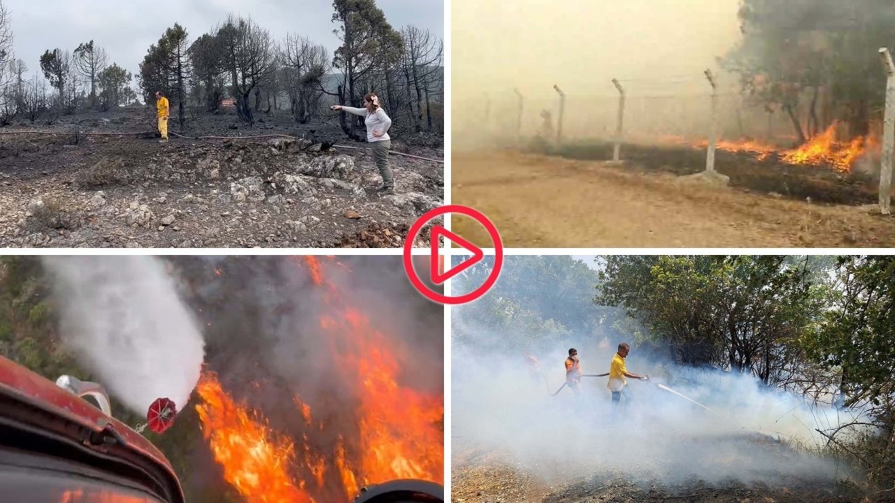 Balıkesir'de orman yangını: Havadan müdahale yeniden başladı