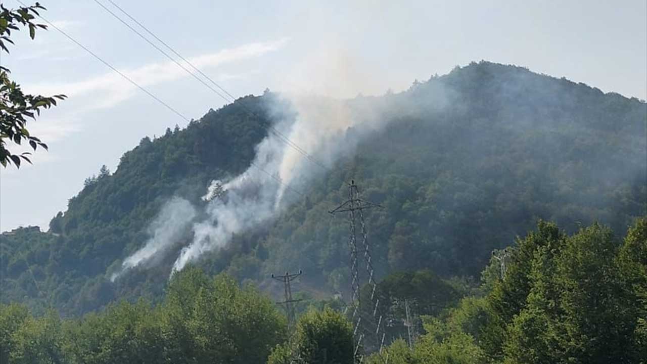 Kastamonu'daki orman yangını üçüncü gününde kontrol altına alındı
