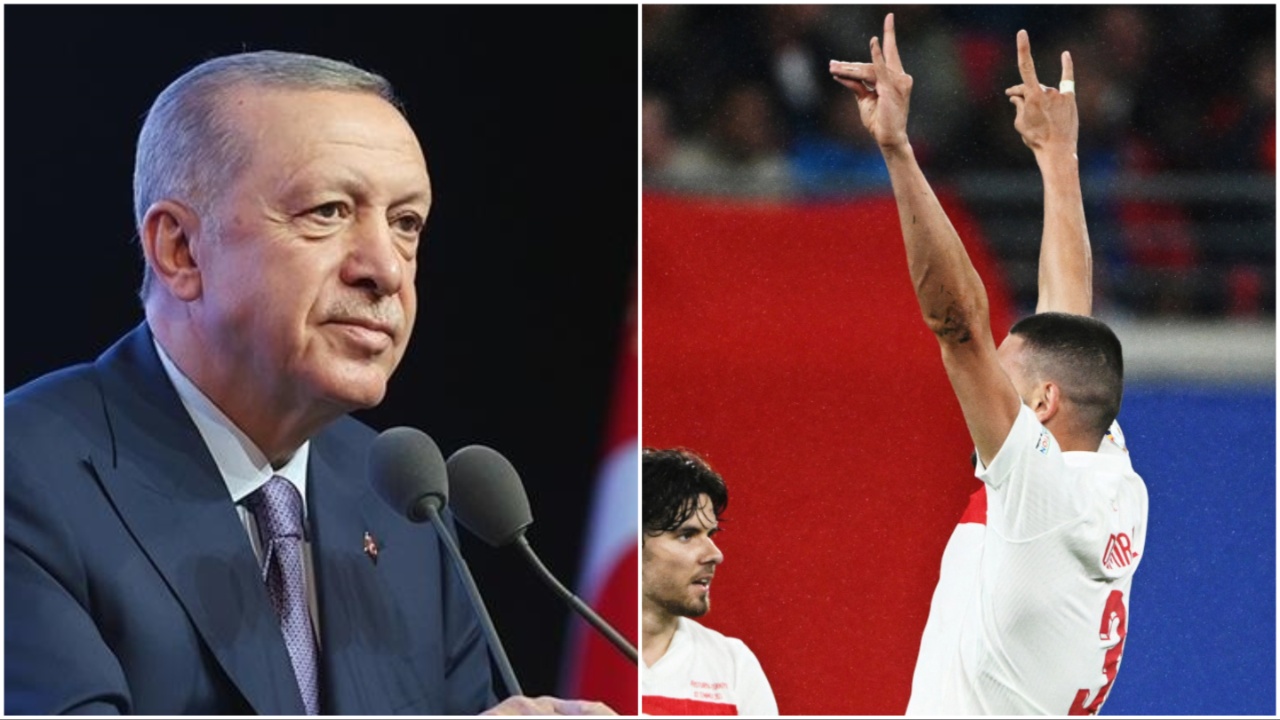 Türkiye-Hollanda maçı öncesi Berlin'de 'bozkurt' ve Erdoğan teyakkuzu