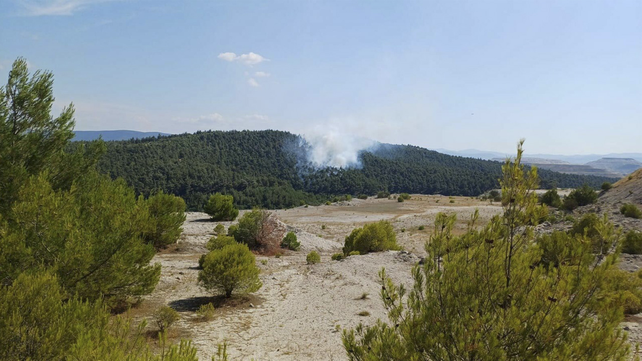 Balıkesir'in iki ilçesinde orman yangını
