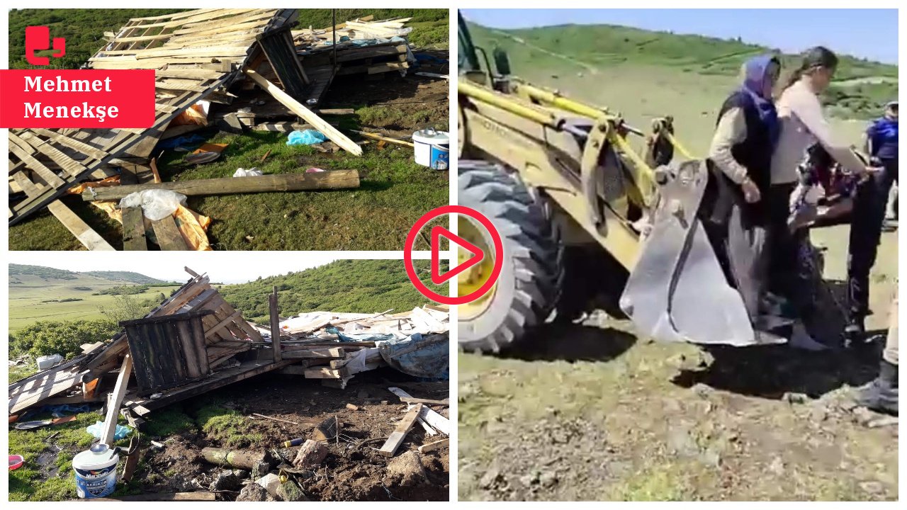 Ordu'da AKP'li belediye köylülerin yayladaki evlerini yıktı: Hayvanlar öldü, köylüler dışarda kaldı