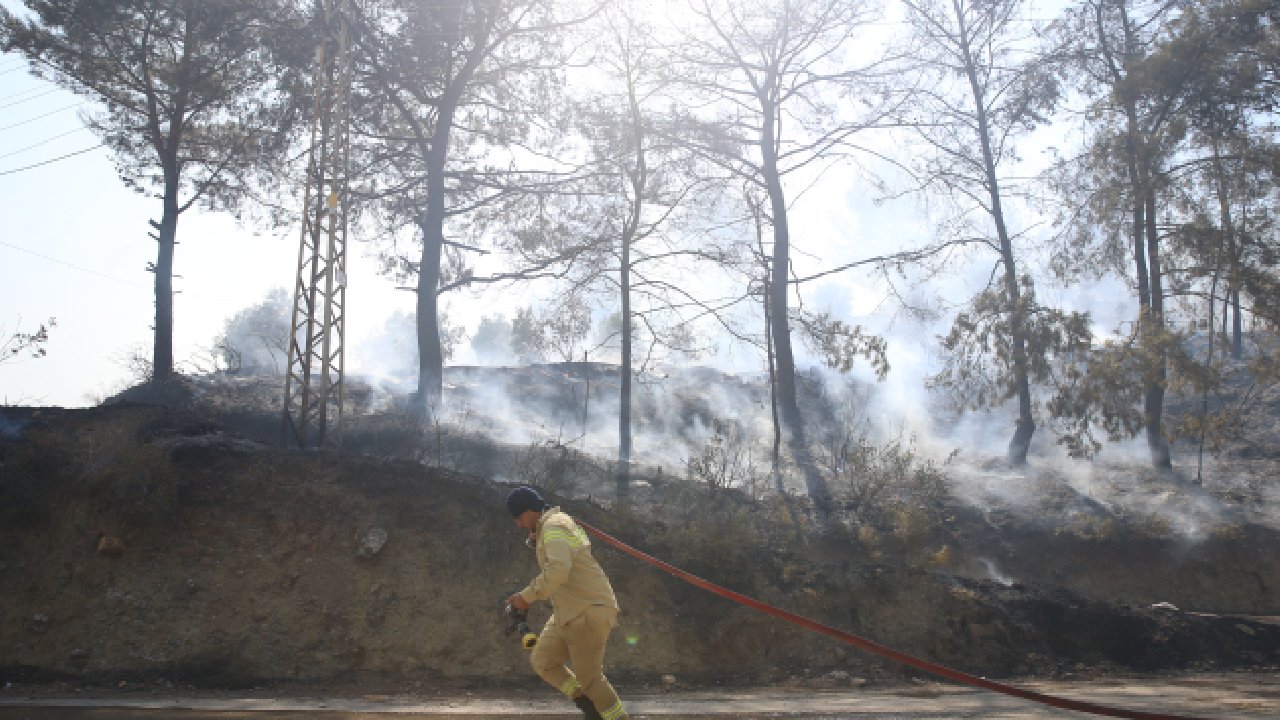 Hatay'da orman yangını: Müdahale ediliyor