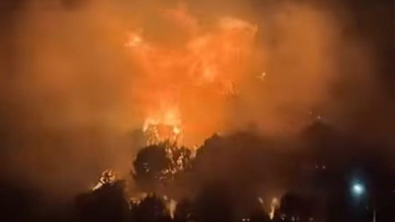 Urla'da orman yangını kontrol altına alındı