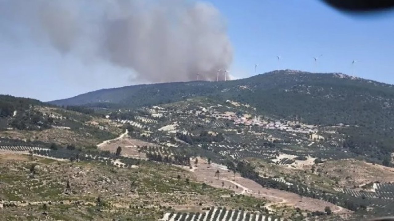 Ege'de üç bölgede orman yangını