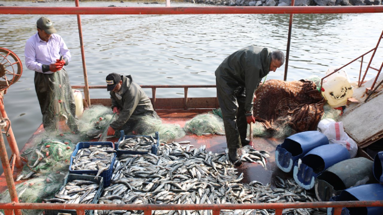 Av yasağı sona erdi: Balıkçılar, Van Gölü'ne ağlarını bıraktı