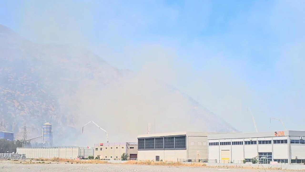 Aydın'daki kağıt fabrikası beş gündür yanıyor