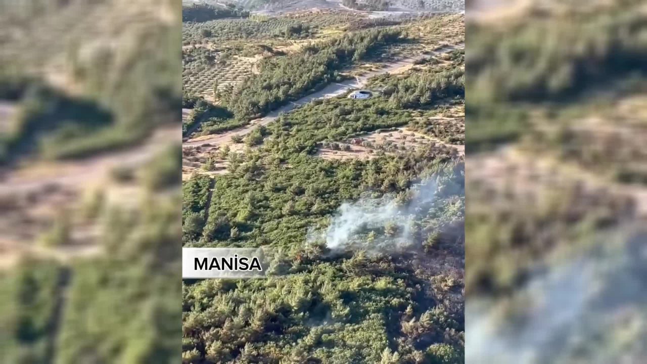 Tarım ve Orman Bakanı Yumaklı: Manisa’daki orman yangını kontrol altına alındı