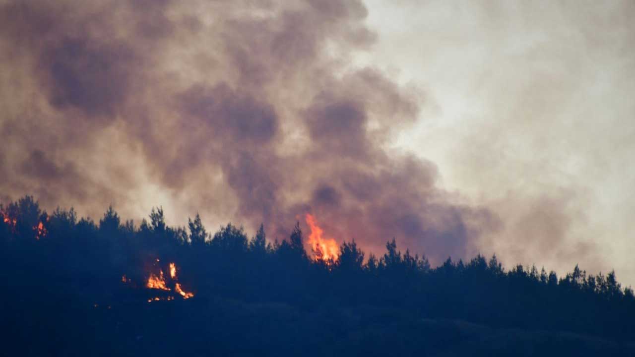 Balıkesir’deki orman yangını kontrol altında: 100 hektar alan zarar gördü