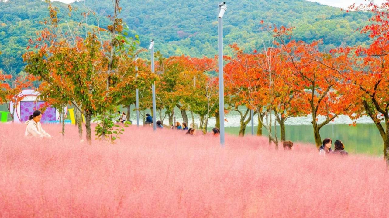 Güney Kore’nin sonbaharda görülmesi gereken rotaları