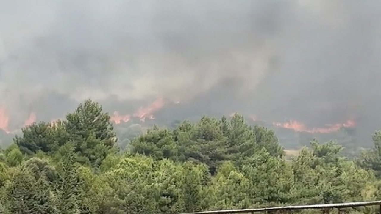 Foça'da orman yangını