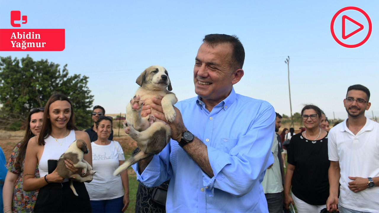 CHP'li başkandan sokak hayvanları için ek vergi önerisi