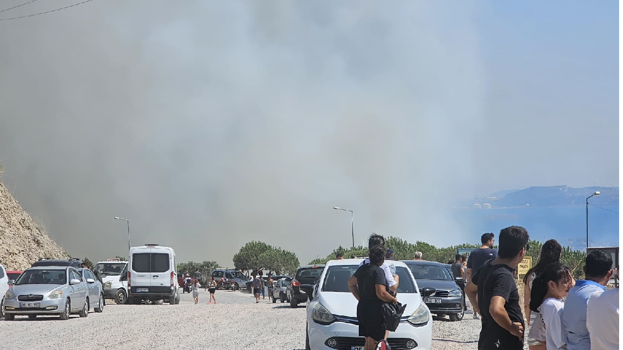 İzmir Dikili'de orman yangını: Bir site tahliye edildi