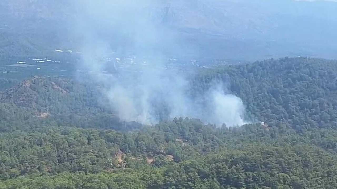 Muğla'da orman yangını: 2 hektarlık alan zarar gördü